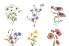 Watercolor Wildflowers Bouquet Clipart Set Product Image 2