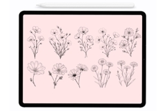 Meadow Flowers Procreate Stamps - Procreate Brushes
