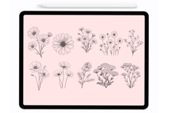 Meadow Flowers Procreate Stamps - Procreate Brushes