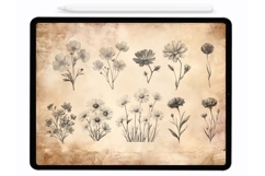 Meadow Flowers Procreate Stamps - Procreate Brushes