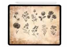 Meadow Flowers Procreate Stamps - Procreate Brushes