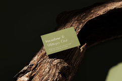 Meadow &amp; Villager Club Font Duo Product Image 8