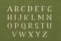 Meadow &amp; Villager Club Font Duo Product Image 9