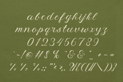 Meadow &amp; Villager Club Font Duo Product Image 14