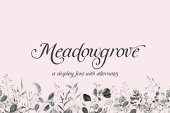Meadowgrove Display Font Product Image 1