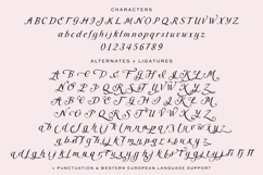 Meadowgrove Display Font Product Image 10