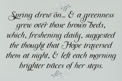 Meadowgrove Display Font Product Image 4