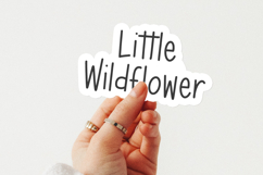 Meadowsong Display Font Product Image 2