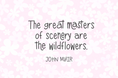 Meadowsong Display Font Product Image 4