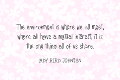 Meadowsong Display Font Product Image 7