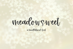 Meadowsweet Script Product Image 1