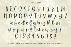 Meadowsweet Script Product Image 10