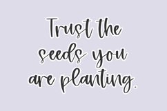 Meadowsweet Script Product Image 2