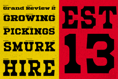 Mechwerk Slab Serif Family Product Image 4