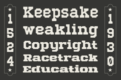 Mechwerk Slab Serif Family Product Image 7