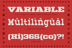 Mechwerk Slab Serif Family Product Image 9