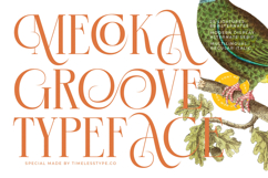 Mecoka Groove - Modern Display Alternate Serif Product Image 1