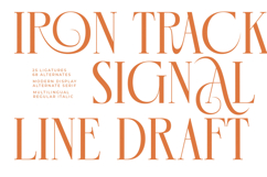 Mecoka Groove - Modern Display Alternate Serif Product Image 8