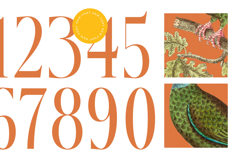 Mecoka Groove - Modern Display Alternate Serif Product Image 9
