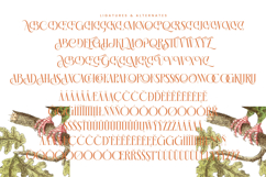 Mecoka Groove - Modern Display Alternate Serif Product Image 18