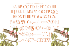 Mecoka Groove - Modern Display Alternate Serif Product Image 19