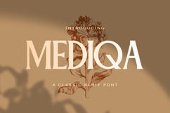 Mediqa - Classic Serif Font Product Image 1