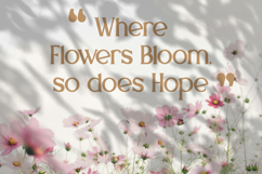 Mediqa - Classic Serif Font Product Image 4