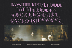Medish - Modern Elegant Sans Serif Font Product Image 15