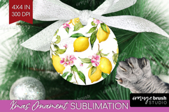 Mediterranean Ornament PNG - Summer PNG Sublimation Product Image 1