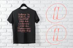 Medkight - Serif Display Font Product Image 8