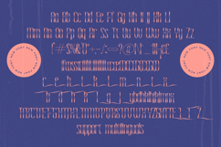 Medkight - Serif Display Font Product Image 13