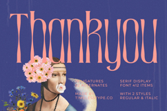 Medkight - Serif Display Font Product Image 15
