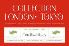 Megance Glamour - Elegant Sans Font Product Image 3