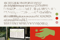 Megance Glamour - Elegant Sans Font Product Image 10
