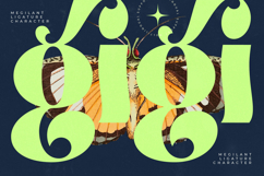 Megilant - Modern Display Font Product Image 3