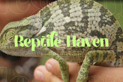 Megilant - Modern Display Font Product Image 4