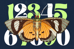 Megilant - Modern Display Font Product Image 14