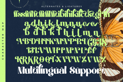 Megilant - Modern Display Font Product Image 19