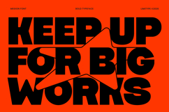 Megion - Bold Display Font Product Image 2