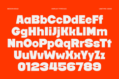 Megion - Bold Display Font Product Image 8