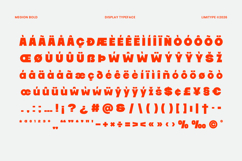Megion - Bold Display Font Product Image 9