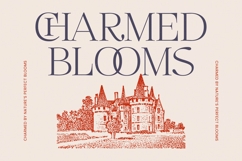 Megria Elegant Thin Serif Display Typeface Product Image 6