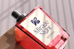 Megria Elegant Thin Serif Display Typeface Product Image 7