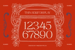 Megria Elegant Thin Serif Display Typeface Product Image 8