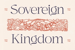 Megria Elegant Thin Serif Display Typeface Product Image 11