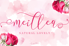 Beautiful Special Bundle Product Image 26