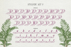 Meillona - Elegant Nature Typeface Product Image 12