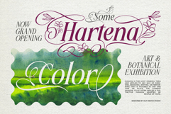 Meillona - Elegant Nature Typeface Product Image 3