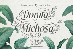 Meillona - Elegant Nature Typeface Product Image 4