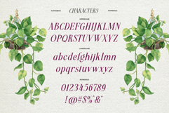 Meillona - Elegant Nature Typeface Product Image 6